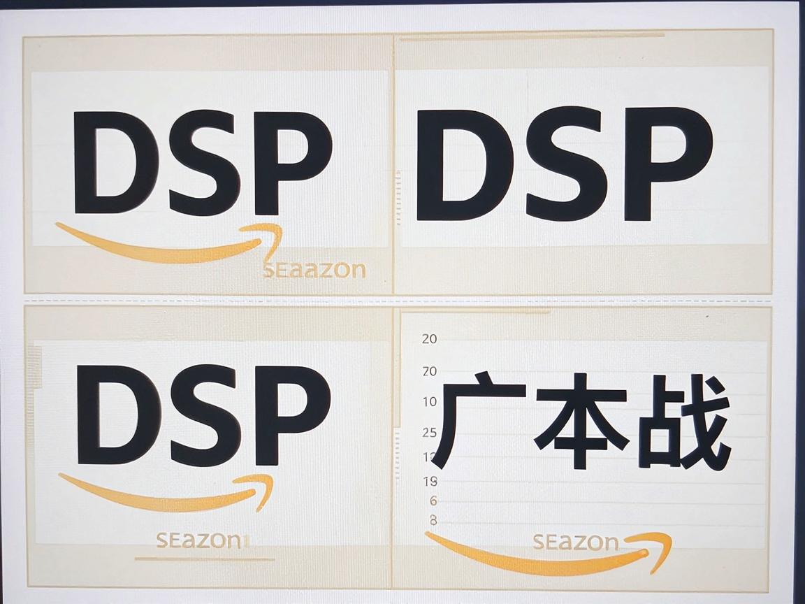 亚马逊DSP广告投放完全指南：展示广告+受众定向实战